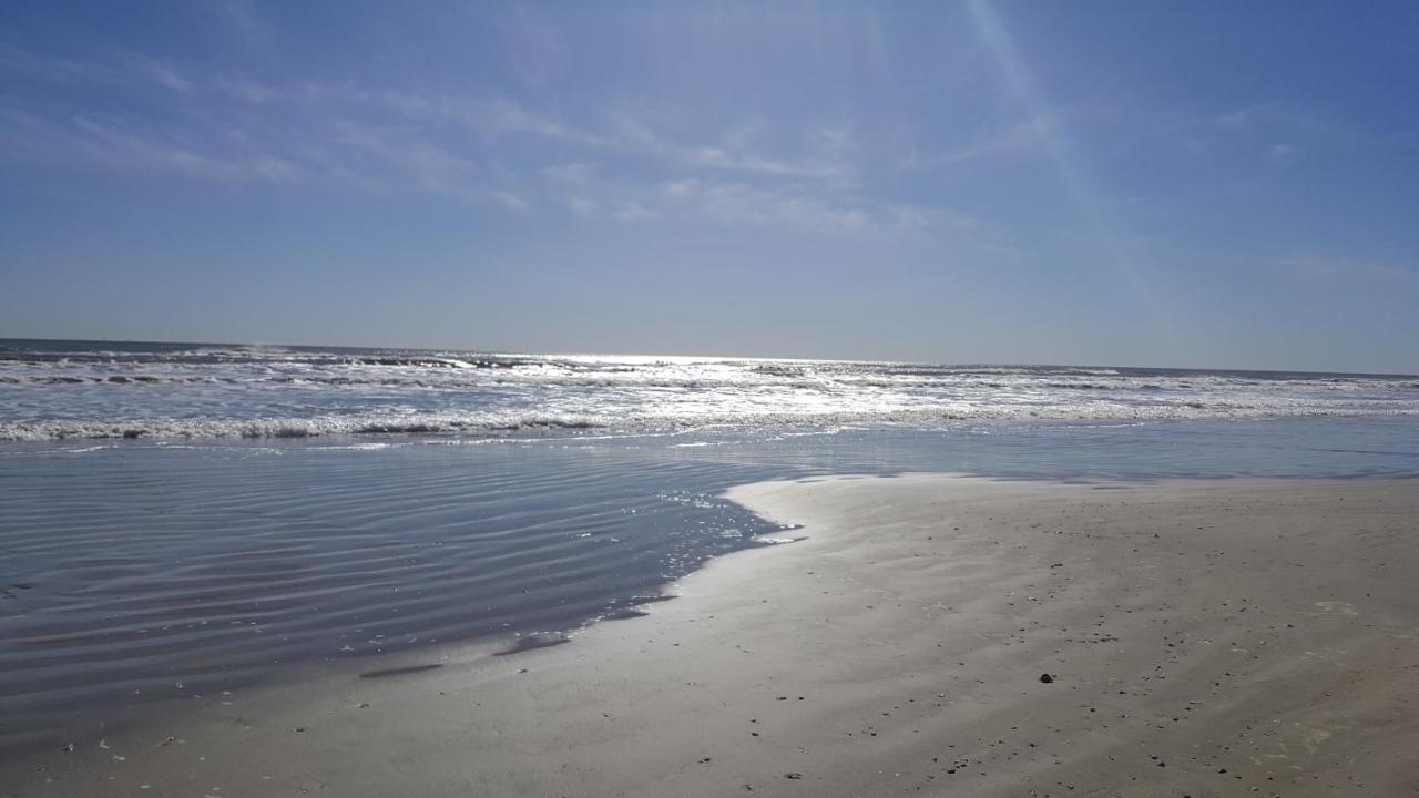 Private Beach -- Away From The Crowds - Ocean Views -Short Drive To Moody Gardens, Schlitter Bahn, Pleasure Pier Галвестон Экстерьер фото